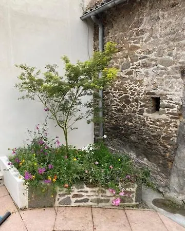 Maison De Hyper Centre, A Pied - Sur Сasa de vacaciones *
